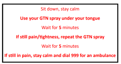 GTN spray instructions